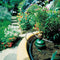 Blumat Tropf Medium Box Kit - Automatic Irrigation for Up To 12 Plants (12 Pack), Water Up to 12 Plants | Garden, Patio, Hanging Baskets, Raised Bed, Greenhouse | Sustainable Outdoor Irrigation System