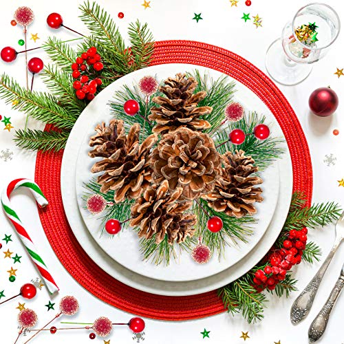 Whaline Christmas Wreath Making Decoration Artificial Pine Cone Berry Set Red Holly Berries Natural Pinecones Branches for Xmas Tree Ornament Home Fall Winter Christmas Party DIY Crafts, 130Pcs