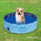 Floofi PVC Durable Portable Eco-Friendly Easy to Use & Drain Thick Summer Round Pet Swimming Pool Foldable Outdoor Dog Cat Bath Tub Extra Large Size (120cm x 30cm, Blue Circle)
