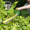 EGO Power+ HT2400 24-Inch 56-Volt Lithium-ion Cordless Hedge Trimmer - Battery and Charger Not Included Green