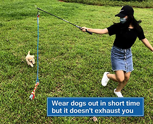 Interactive Flirt Pole Toy for Dogs Chase and Tug of War,Durable Teaser Wand with Pet Fleece Rope Tether Lure Toy to Outdoor Exercise & Training for Small Medium Large Dogs (Blue/Red, POLE-35 inches)