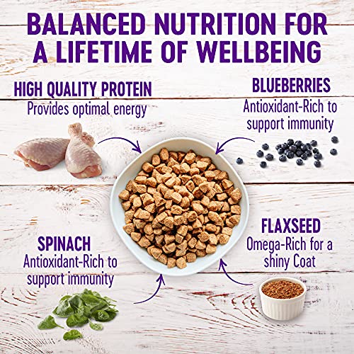 Wellness Complete Health Dry Dog Food with Grains, Natural Ingredients, Made in USA with Real Meat, All Breeds, for Adult Dogs (Chicken & Oatmeal, 30-Pound Bag)