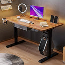 Radlove Height Adjustable Electric Standing Desk with Drawer, 55 x 30 Inch(140x76CM) Stand Up Workstation, Computer Desk with Splice Board, Home Office Ergonomic Desk, Brown Top + Black Frame