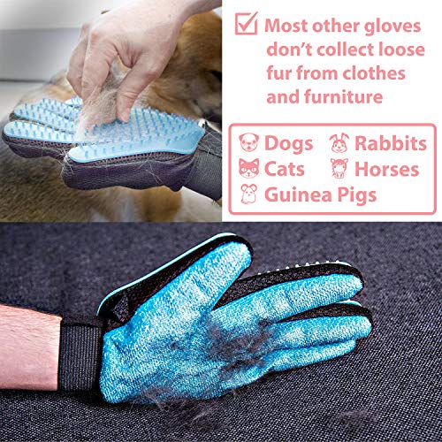 Zenify Pet Grooming Glove - For Cat, Kitten, Dog, Puppy, Rabbit, Horse - Dual Sided 2-in-1 Upgrade Version Machine Washable Enhanced Efficient Silicon Massage One-Size-Fits-All Gift Hair Deshedding Remover Mitt (Right Hand)