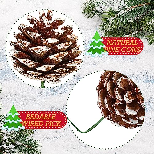 Glitinsel 60 Pcs Rustic Christmas Pine Cones 1.96 Inch Christmas