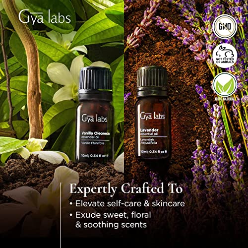 Gya Labs Vanilla Essential Oil & Lavender Essential Oil (2 Packs)