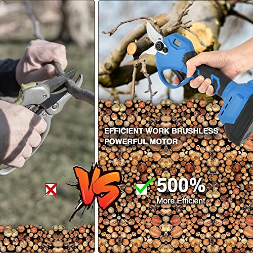 Electric Pruning Shears, 30mm(1.2 inch) Cutting Diameter, 2 Pack 2.0Ah Lithium-ion Battery Powered Professional Cordless Brushless Pruning for Tree Branch, SK5 Blades
