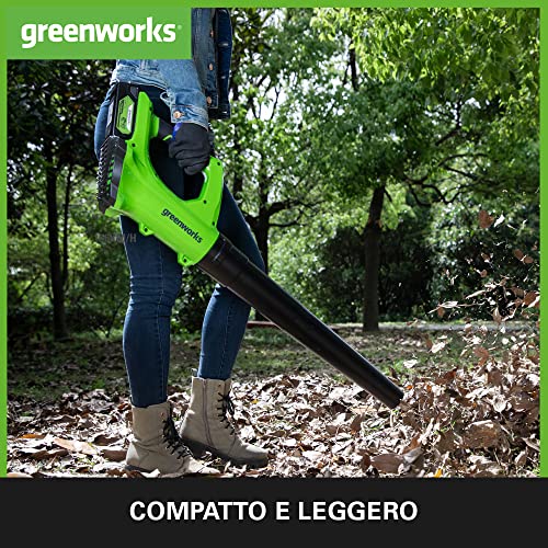 Greenworks 24V Cordless Axial Blower Skin