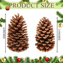 Huwena 12 Pcs PineCones Large Natural Unscented Pine Cones Bulk Rustic Christmas Tree Ornaments Decorative No Chemicals for Crafts DIY Wreath Home Wedding Decoration (5-6 Inches)