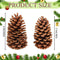 Huwena 12 Pcs PineCones Large Natural Unscented Pine Cones Bulk Rustic Christmas Tree Ornaments Decorative No Chemicals for Crafts DIY Wreath Home Wedding Decoration (5-6 Inches)