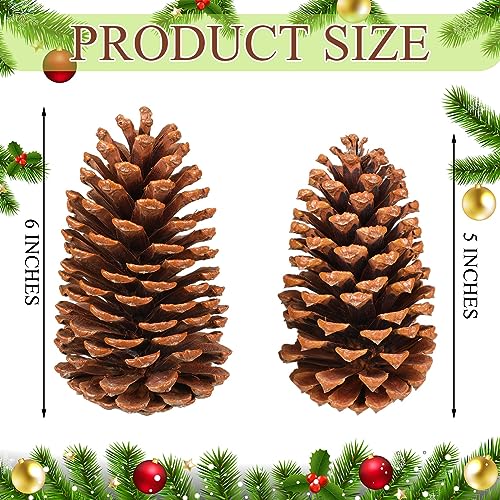 Huwena 12 Pcs PineCones Large Natural Unscented Pine Cones Bulk Rustic Christmas Tree Ornaments Decorative No Chemicals for Crafts DIY Wreath Home Wedding Decoration (5-6 Inches)