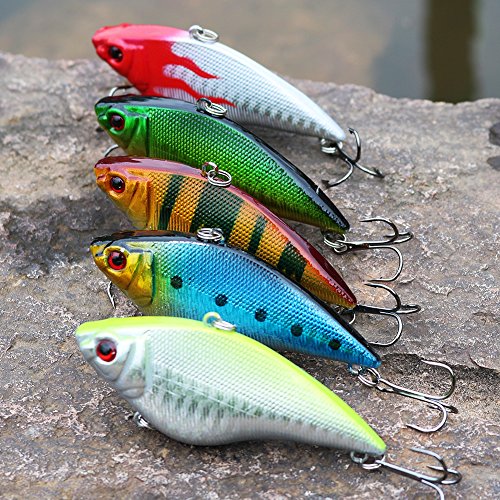 Sougayilang Fishing Lures Large Hard Bait Minnow VIB Lure with Treble Hook  Life-Like Swimbait Fishing Bait 3D Fishing Eyes Popper Crankbait Vibe  Sinking Lure for Bass Trout Walleye Redfish, Type 1-5PCS with Box