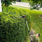 WORX 20V Cordless Pole Hedge Trimmer with POWERSHARE 2Ah Battery and Charger - WG252E