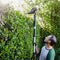 WORX 20V Cordless Pole Hedge Trimmer with POWERSHARE 2Ah Battery and Charger - WG252E