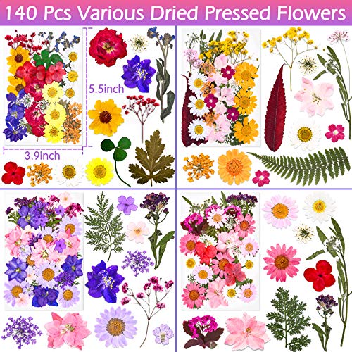 140 Pcs Dried Pressed Flowers for Resin, Real Pressed Flowers Dry Leaves Bulk Natural Herbs Kit for Scrapbooking DIY Art Crafts, Epoxy Resin Jewelry Molds, Candle, Soap Making, Nails Décor