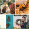 Huwena 12 Pcs PineCones Large Natural Unscented Pine Cones Bulk Rustic Christmas Tree Ornaments Decorative No Chemicals for Crafts DIY Wreath Home Wedding Decoration (5-6 Inches)