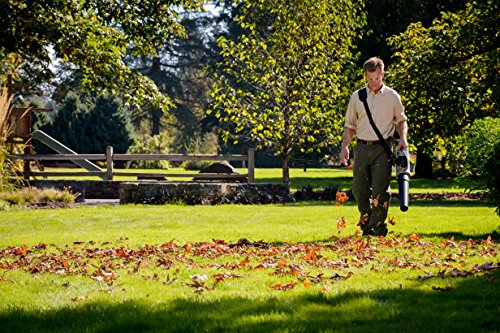 Oregon Cordless BL300 40V 151 MPH Leaf Blower with 4.0Ah Battery and Charger