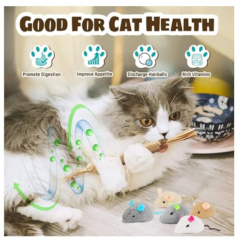QUREZA Cat Toys, Silvervine Sticks for Cats, 3 Pack Natural Catnip Chew Toys for Kittens Teeth Cleaning, Matatabi Dental Care, Increase Appetite, Calm Cat Anxiety and Stress, Aggressive Chewers Cat Dental Toy