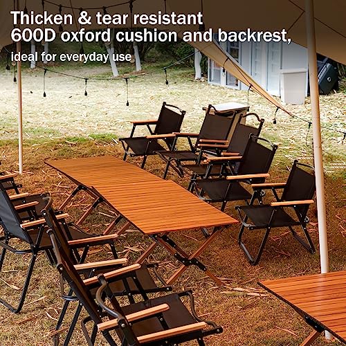 Lallisa 2 Pack Folding Camping Chairs, Portable Lightweight Low Lawn Chair with Thicken 600D Oxford Beach Camp Park Chairs Supports 253lbs Carbon Steel Armchairs for Hiking Fishing Picnic Concerts