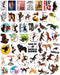 100pcs Horse Stickers Decals, Horse Riding Vinyl Stickers for Water Bottle Laptop Skateboard Car Helmet Luggage, Perfect Horse Gifts for for Adults Teens Kids