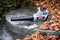 Oregon Cordless BL300 40V 151 MPH Leaf Blower with 4.0Ah Battery and Charger