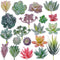 Artigreen 20 Pcs Artificial Succulent Plants Unpotted Echeveria Picks Succulent Plants Mixed Bulk Stems Assorted Mini Plant for Home Indoor Fairy Garden Decoration