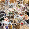 Meme Cat Stickers,50PCS Cat Graffiti Vinyl Waterproof Decals for Water Bottles Computer Bicycle Skateboard Luggage Phone Pad Laptop Kids Teens Stickers Pack