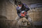 Einhell HEROCCO 36/28 Power X-Change 36V Cordless Rotary Hammer Drill | 3.2J Brushless SDS Plus 4-in-1 Drilling, Impact Drilling, Screwing and Chiselling | Solo - Battery and Charger Not Included
