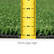 Primeturf Synthetic 10mm  1.9mx10m 19sqm Artificial Grass Fake Turf Olive Plants Plastic Lawn - Coll Online