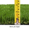 Primeturf Synthetic 30mm  0.95mx10m  9.5sqm Artificial Grass Fake Lawn Turf Plastic Plant White Bottom - Coll Online