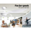 52" DC Motor Ceiling Fan with LED Light with Remote 8H Timer Reverse Mode 5 Speeds White - Coll Online