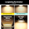 Lumey Set of 6 LED Downlight Kit - Coll Online