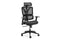 Ergolux EX10 Ergonomic Mesh Office Chair
