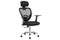 Ergolux Everyday Ergonomic Chair (Black)