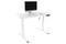 Ergolux ET150 Series Standing Desk with USB Port (White/White)