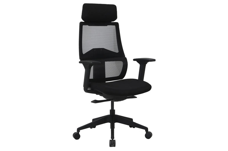 Ergolux Temax Mesh Office Chair with Head Rest