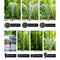 Solar Pond Pump Powered Outdoor Garden Water Pool Kit Large Panel 8.2 FT