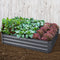 Green Fingers 150 x 90cm Galvanised Steel Garden Bed - Aliminium Grey - Coll Online