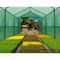 Greenfingers Garden Shed Greenhouse 3.5X2X2M Green House Replacement *Cover Only - Coll Online