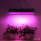 Greenfingers 2000W LED Grow Light Full Spectrum