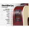 Alpha 41" Inch Electric Acoustic Guitar Wooden Classical EQ With Pickup Bass Natural - Coll Online