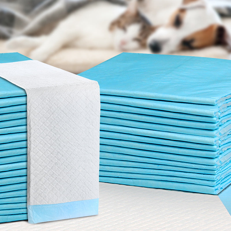 200pcs Puppy Dog Pet Training Pads Cat Toilet 60 x 60cm Super Absorbent Indoor Disposable - Coll Online