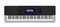 Casio WK240 Electronic Keyboard - Coll Online