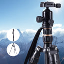 Weifeng Professional Camera Tripod Monopod Stand DSLR Ball Head Mount Flexible - Coll Online