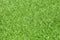 Synthetic Artificial Grass Turf 5 sqm Roll - 20mm