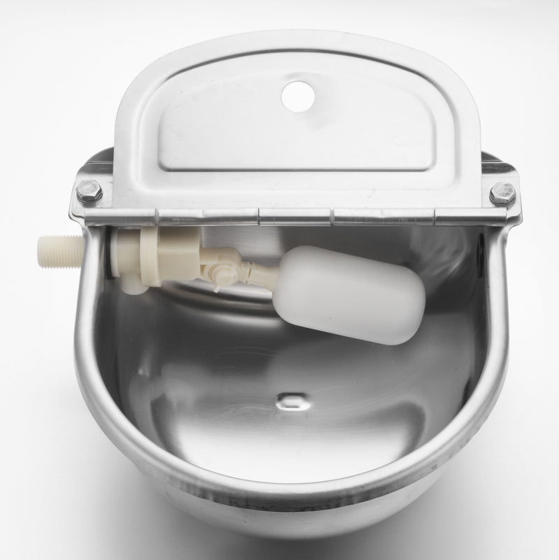 Automatic Water Bowl - Coll Online