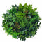 Artificial Green Wall Disk Art 60cm - Mixed Fern & Ivy