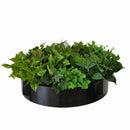 Artificial Green Wall Disk Art 60cm - Mixed Fern & Ivy