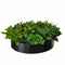 Artificial Green Wall Disk Art 60cm - Mixed Fern & Ivy