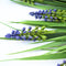 Artificial Dense English Lavender Stem UV Resistant 50cm